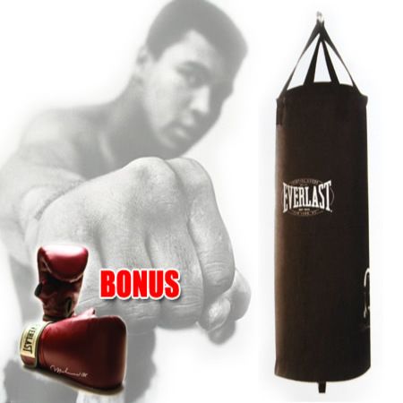 Everlast Punching Bag Gloves Combo - www.semadata.org | Crazy Sales
