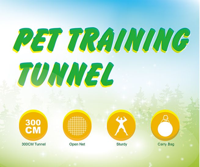 cat run tunnel