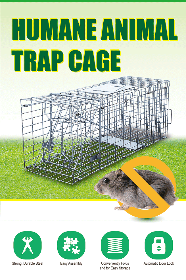 Humane Animal Cage Trap Crazy Sales