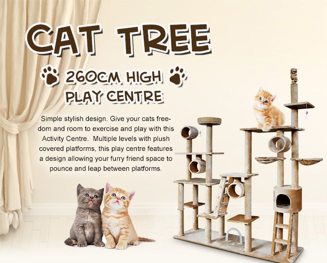 cat play gym kmart