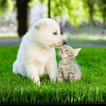 https://img.crazysales.com.au/products_pictures/1005/100503_2285049_F.jpg