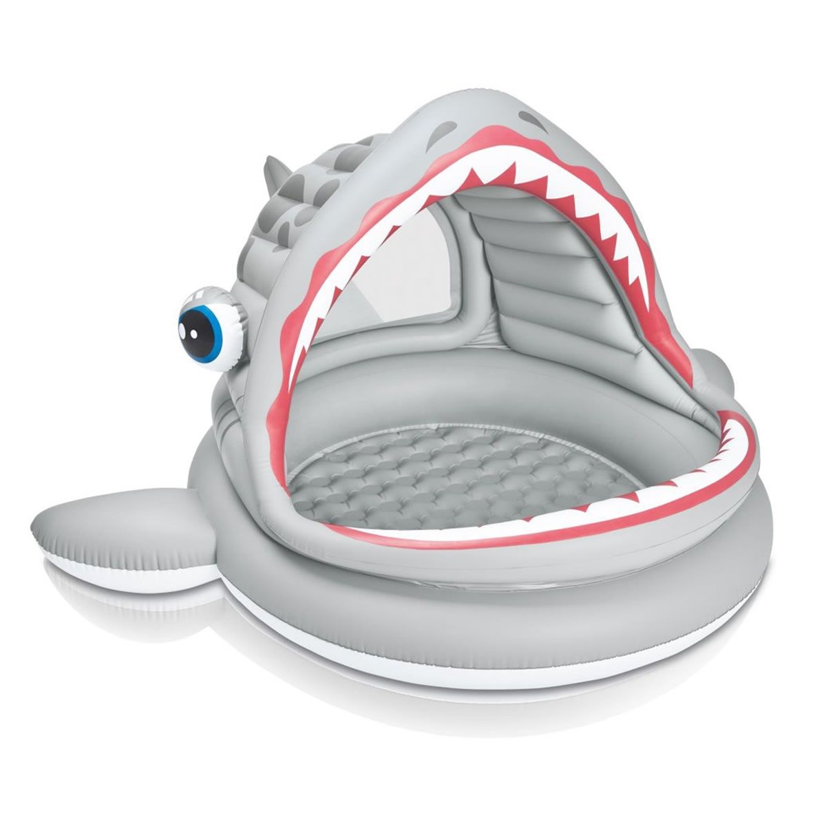 intex shark pool