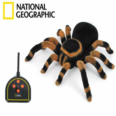 National Geographic Radio Control Tarantula Toy