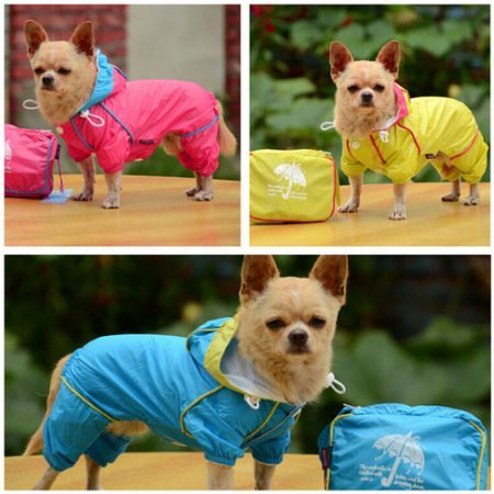 Dog Coat