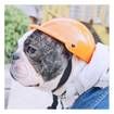 Dog Motorcycle Helmet | Crazy Sales