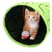 Pet Tunnel Cat Tunnel Toy With Ball