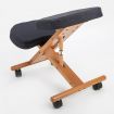 Ergonomic Adjustable Kneeling Chair BLACK