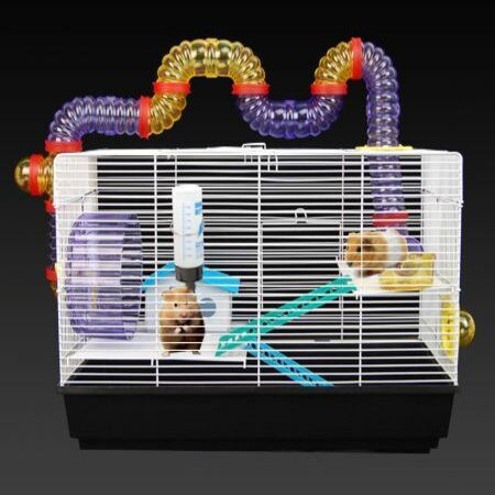 rat cages australia online