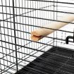 Pet Bird Cage with Stainless Steel Feeders - Black