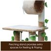 155cm Cat Scratching Post Tree Scratcher Pole Gym House Furniture Multi Level Medium Beige