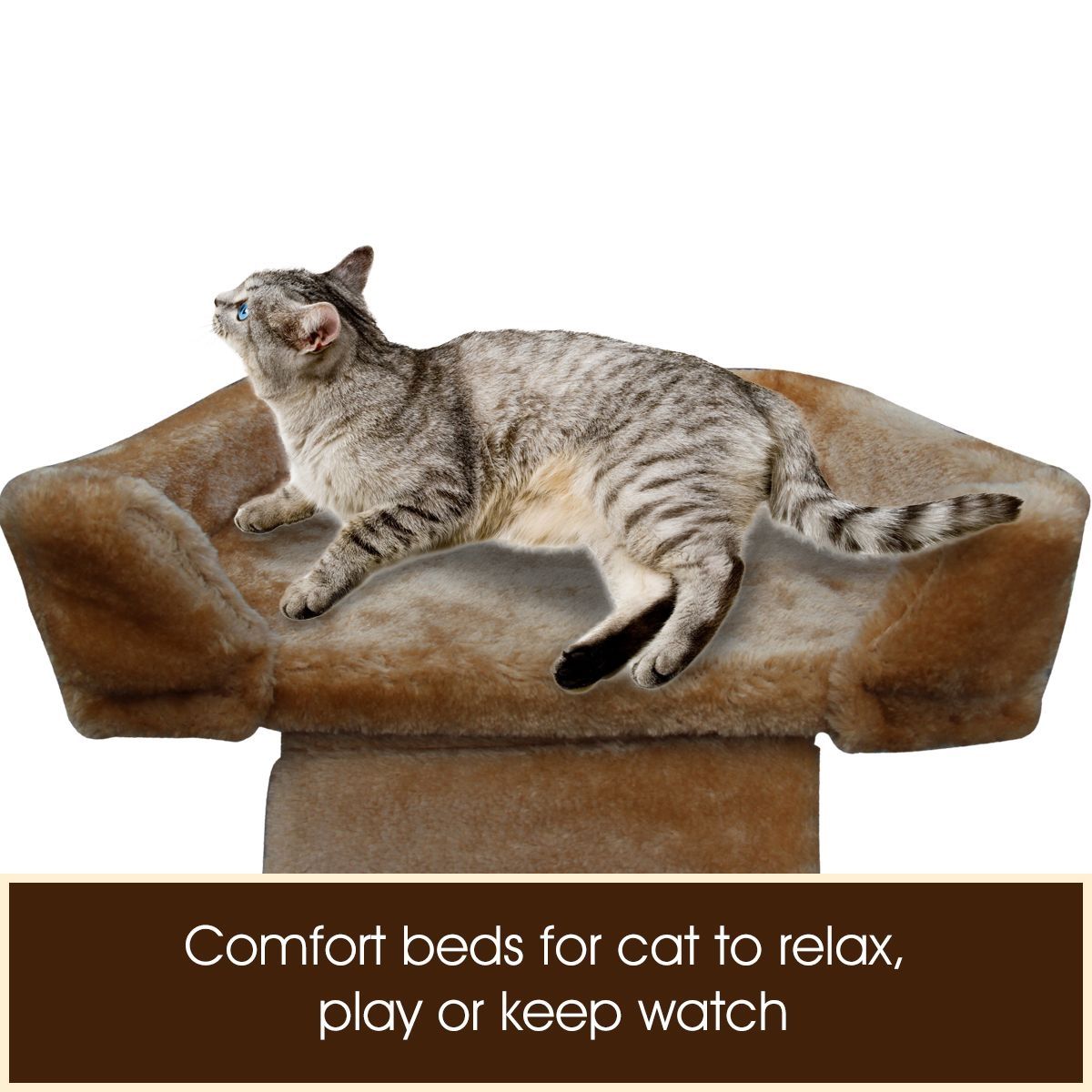 https://img.crazysales.com.au/products_pictures/128/128129_776089_F.jpg