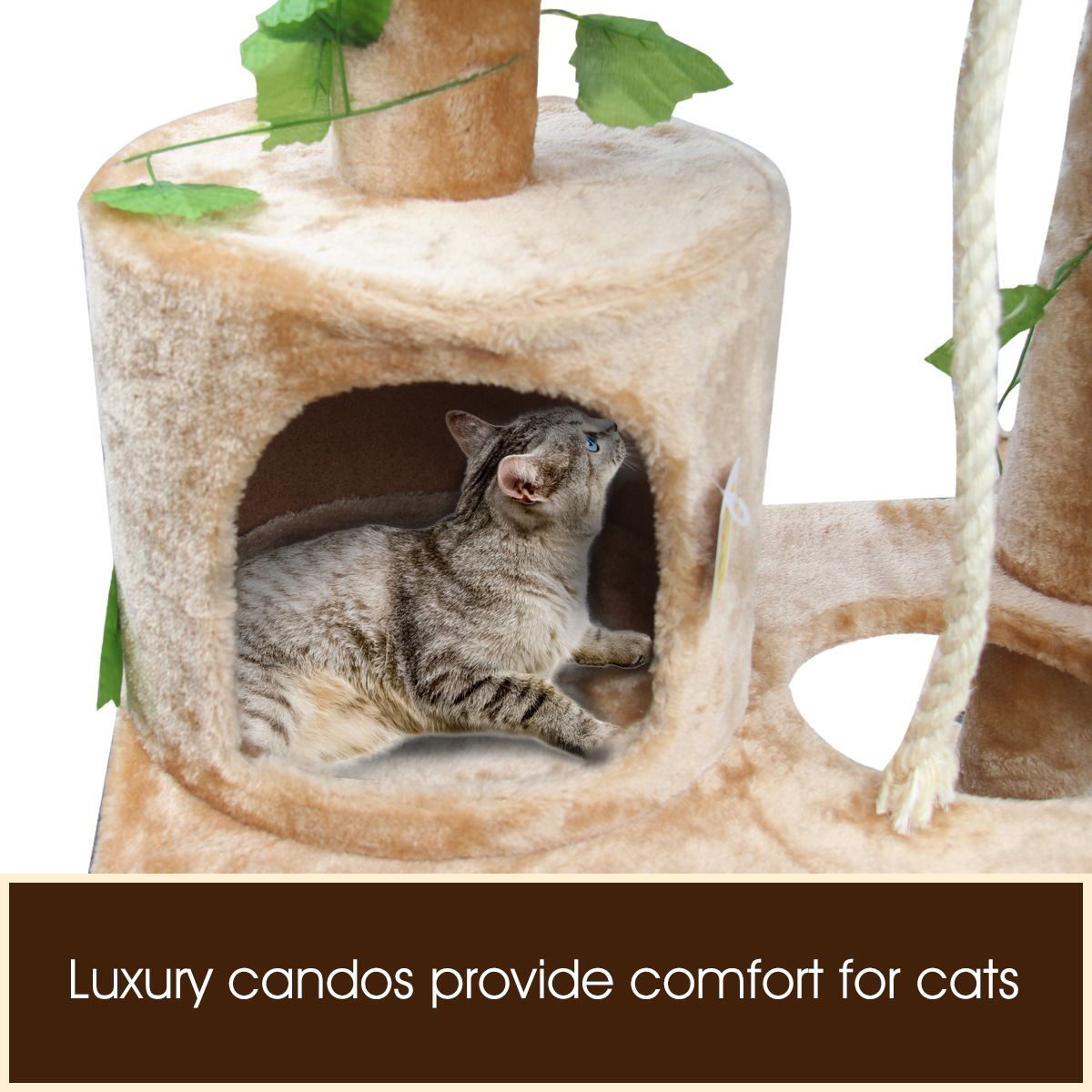 https://img.crazysales.com.au/products_pictures/128/128129_776091_F.jpg
