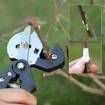 LUD Garden Fruit Tree Pro Pruning Shears Scissor Grafting Cutting Tools Suit