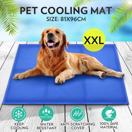 cooling pad for a dog