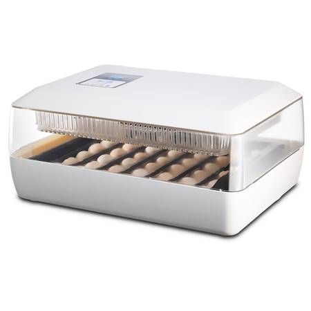 incubator for eggs temperature