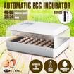 Automatic Egg Incubator with High Accuracy LED Temperature Display 