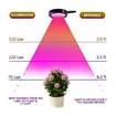 8W USB Led Plant Grow Light With 360 Degrees Flexible Clip