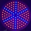 Led Plant Grow Light Lamp 8W Plant Growing Lights