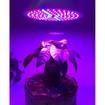 Led Plant Grow Light Lamp 8W Plant Growing Lights