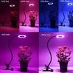 USB Led Plant Grow Light Succulent Clip Desk Flexible Lamp