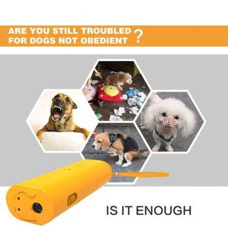 https://img.crazysales.com.au/products_pictures/142/142745_880927_F.jpg