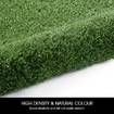 Edengrass 10mm 2Mx20M Artificial Grass Synthetic Turf Fake Lawn