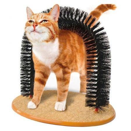 purrfect arch cat groomer