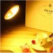 Creative PAC-Man USB Charging Human Body Sensing LED Night Lamp