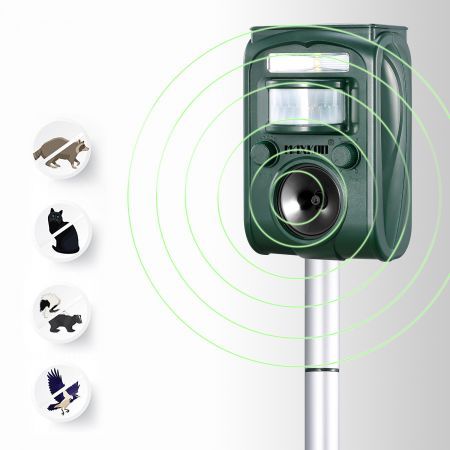 https://img.crazysales.com.au/products_pictures/1472/147275_994533_F.jpg