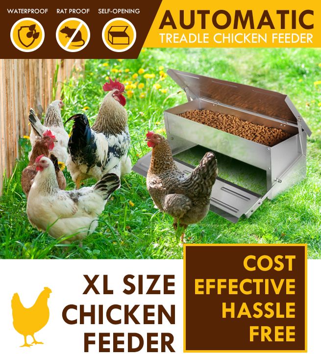 XL Size Durable Rustproof Aluminium Auto Chicken Feeder | Crazy Sales