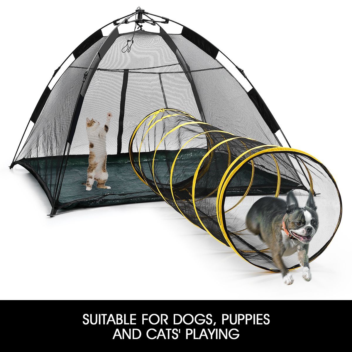 cat tunnel tent