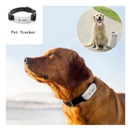 Mini Pet Tracker With Collar GSM/GPRS Positioning Real Time GPS Tracker