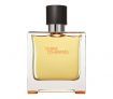Perfume Fragrance for Men - Terre D'Hermes by Hermes 100ml EDT SP