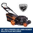 NEW Black Eagle Lawn Mower Self Propelled 18" 160cc 4 Stroke Petrol Lawnmower