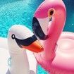 190CM Giant Inflatable Flamingo/Swan Pool Float + 1 Free Plastic Manual Inflating Pump