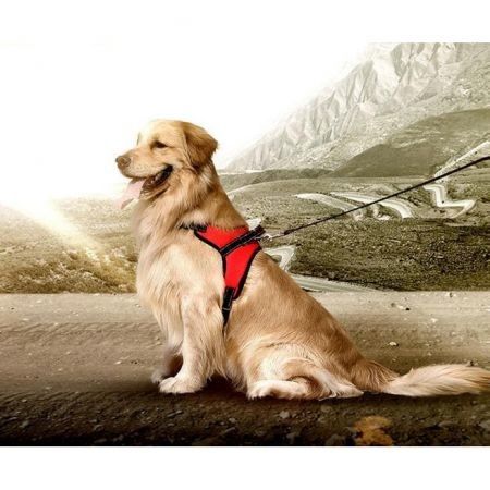 Dog Harness Collar Lead Pets Vest Dog Leads Dog Accessories Color Red