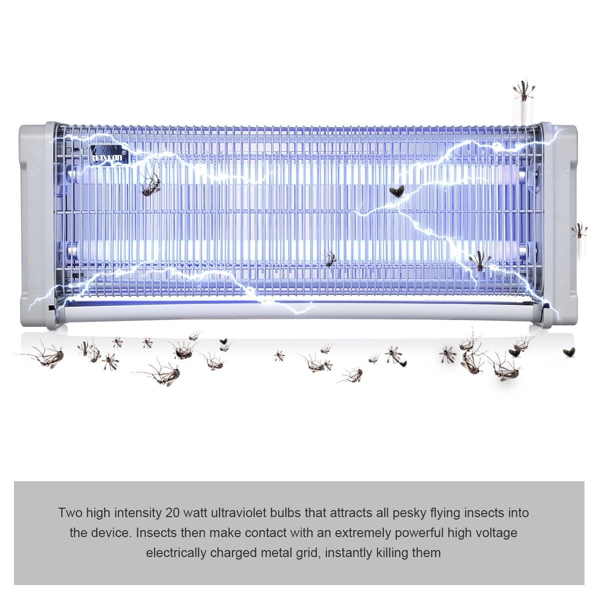 https://img.crazysales.com.au/products_pictures/151/151961_967507_F.jpg
