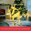 3D Christmas Reindeer Light 10M LED Rope Fairy Xmas Decor Figure - Warm White