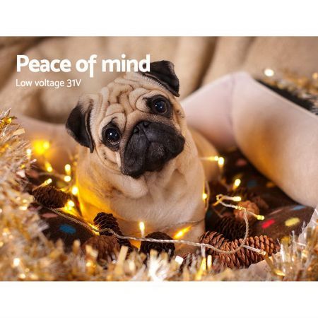https://img.crazysales.com.au/products_pictures/1522/152271_2257663_F.jpg
