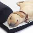 Pet Dog Cat Sofa Couch Cushion Bed TUFTY XL BLACK