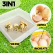 Eggs Digital Hatch Incubator Chicken Quail 112 Eggs Tray