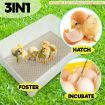Eggs Digital Hatch Incubator Chicken Quail 24 Eggs Tray
