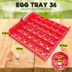 Eggs Digital Hatch Incubator Chicken Quail 36 Eggs Tray