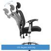 Adjustable Breathable Ergo Mesh Office Computer Chair w/ Lumbar Support - Black