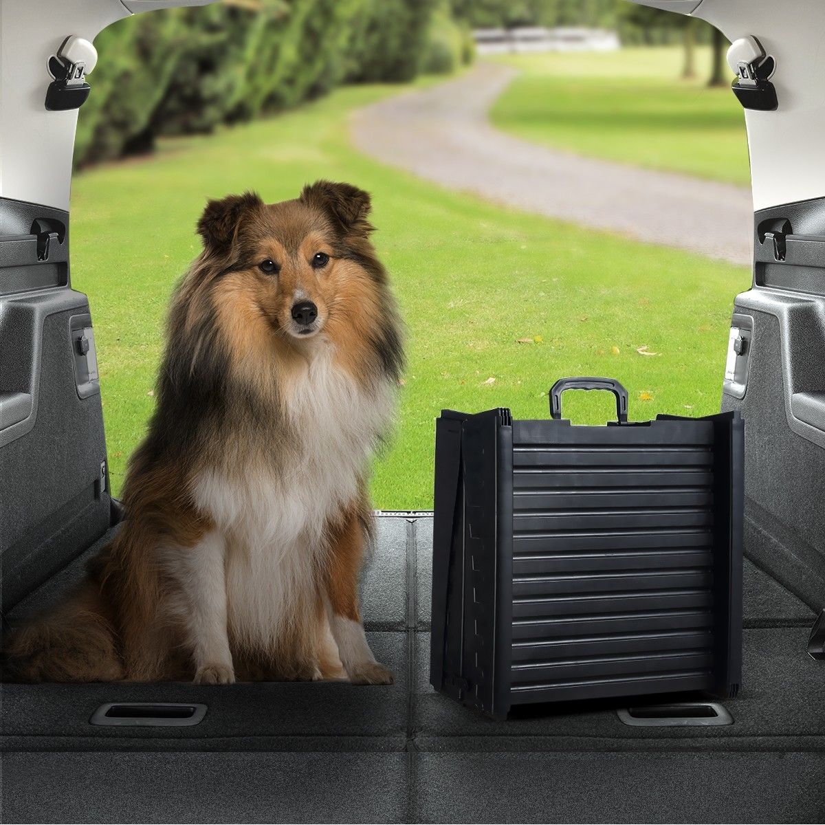 Petscene Dog Car Ramp Folding Portable Pet Doggy Steps Ladder for Truck