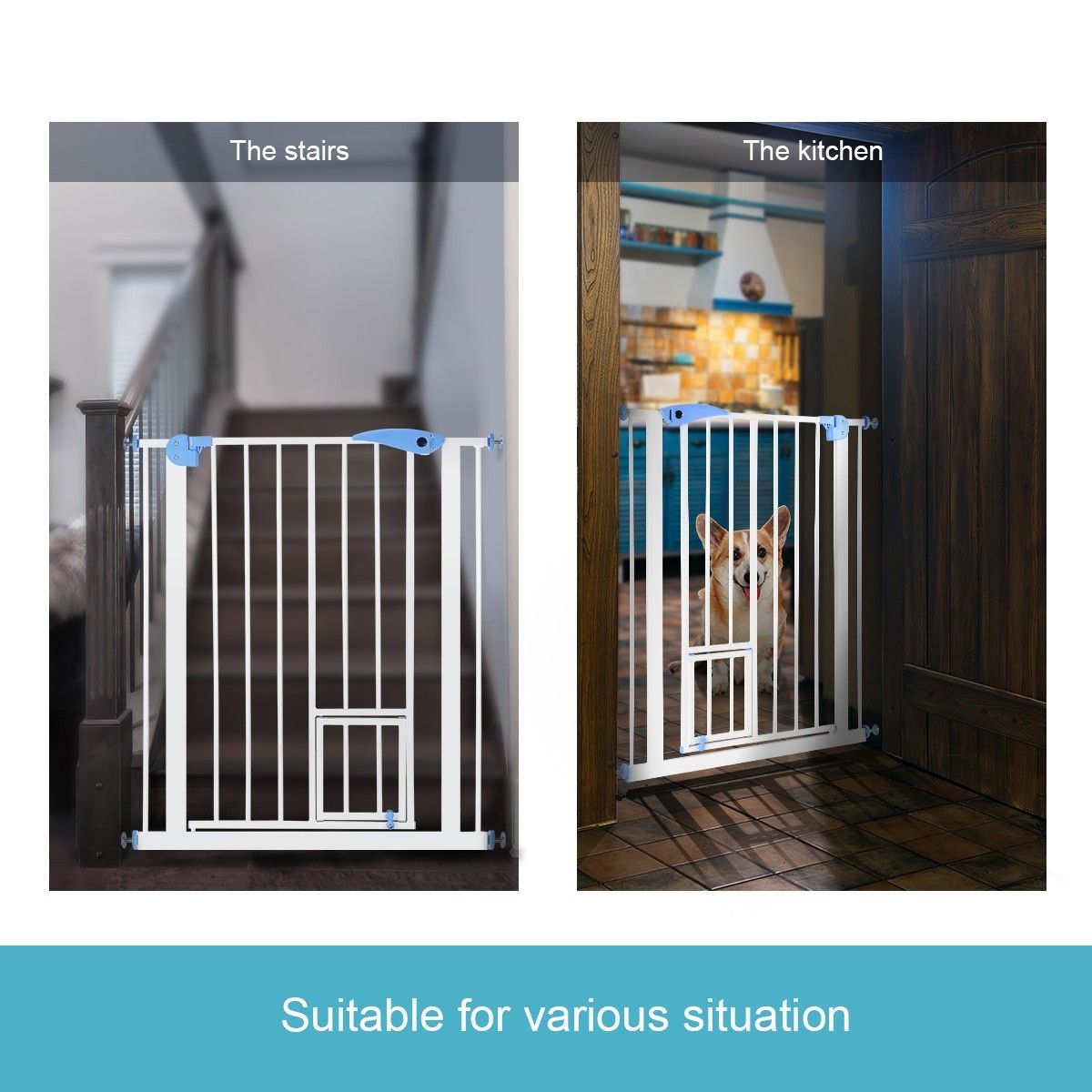 https://img.crazysales.com.au/products_pictures/157/157563_1036509_F.jpg