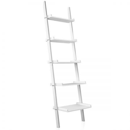 wall ladder shelf