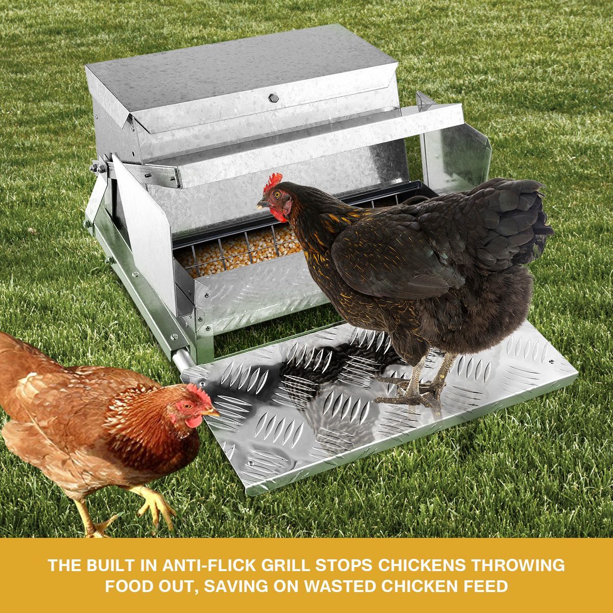 automatic feeder for chickens