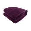 600GSM Large Double-Sided Faux Mink Blanket - Purple