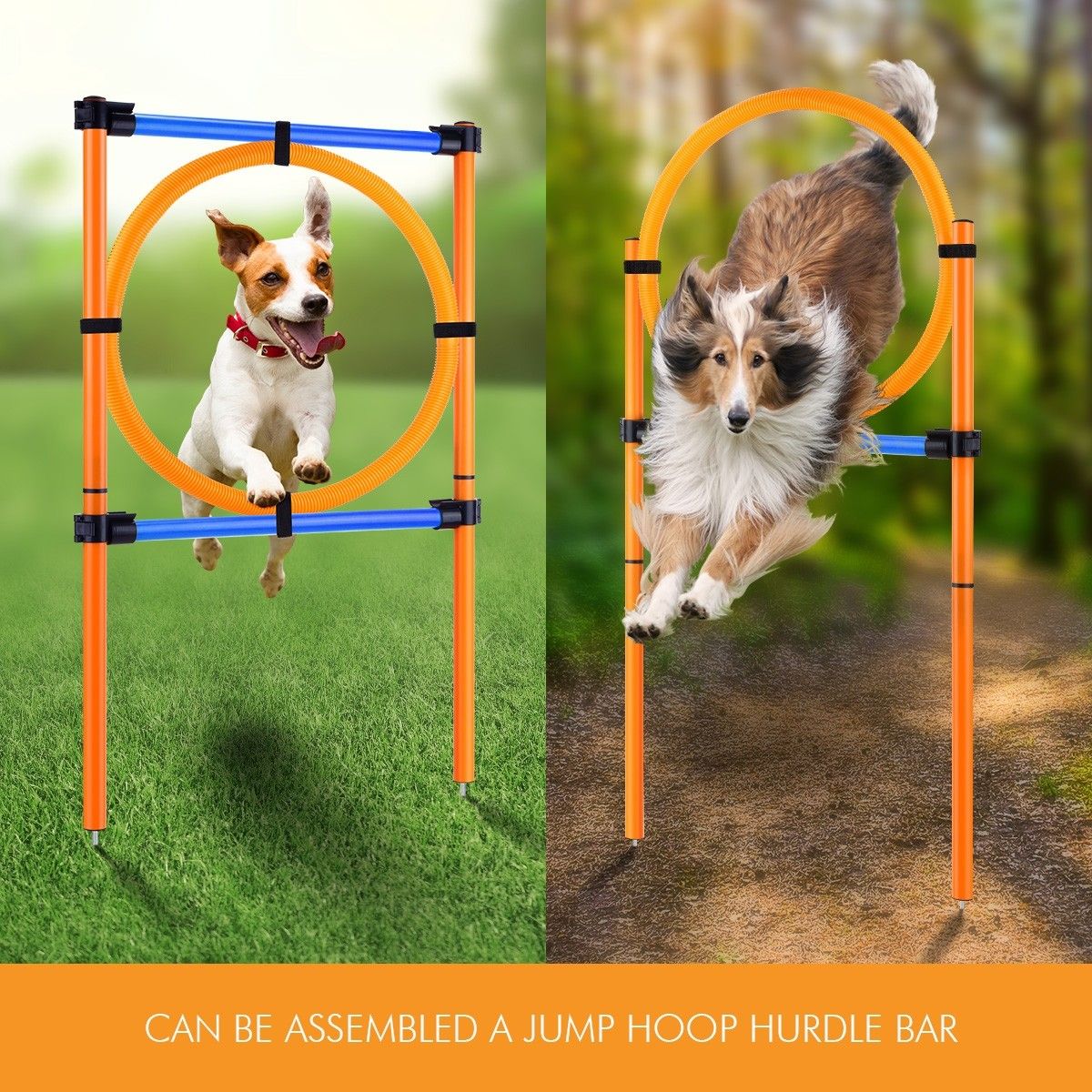 Outdoor Dog Training Weave Poles Portable Pet Games Agility Exercise ...